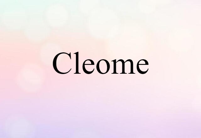 cleome