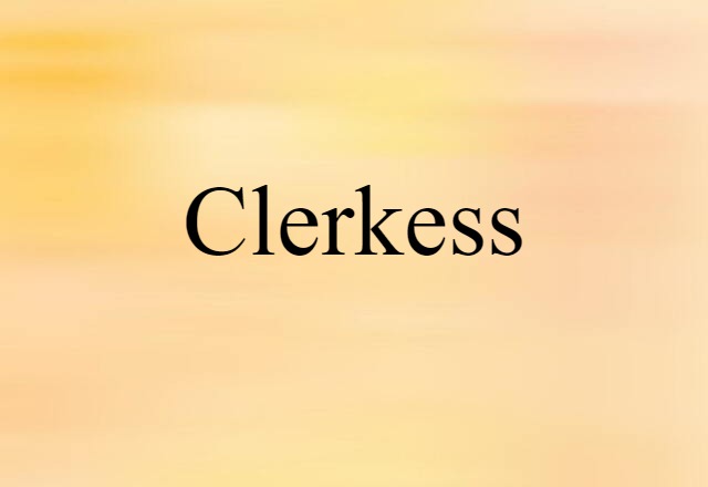 Clerkess (noun) Definition, Meaning & Examples