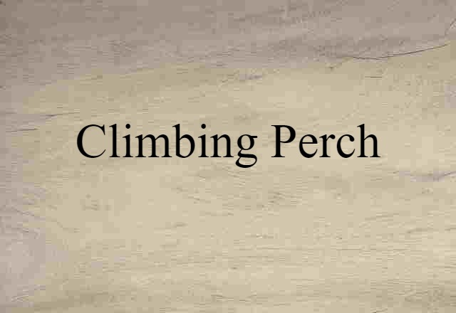 climbing perch