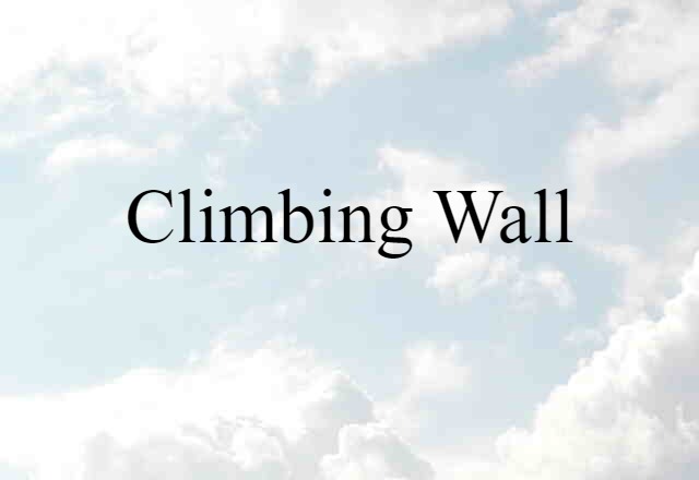 climbing wall