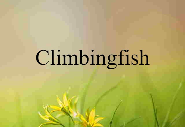 Climbingfish (noun) Definition, Meaning & Examples