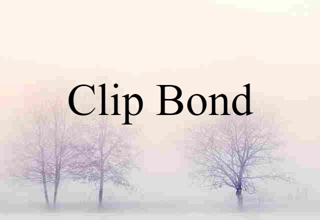 Clip Bond (noun) Definition, Meaning & Examples