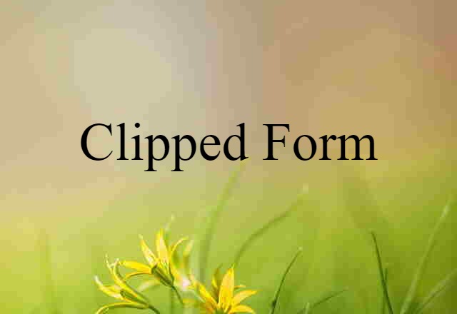 Clipped Form (noun) Definition, Meaning & Examples