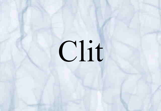 Clit (noun) Definition, Meaning & Examples