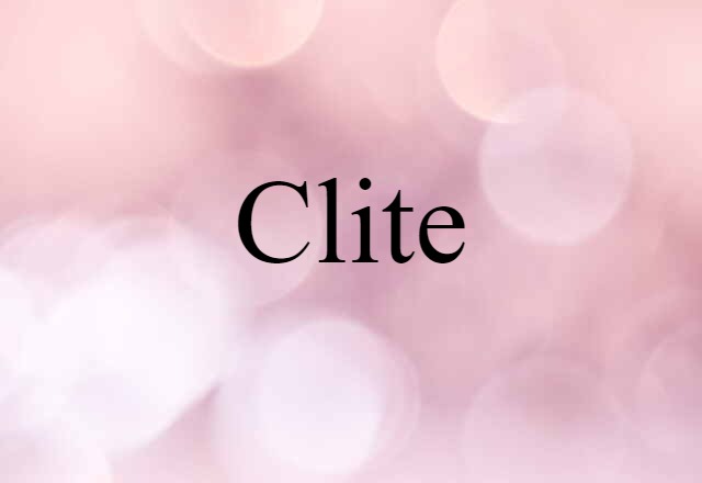 Clite (noun) Definition, Meaning & Examples