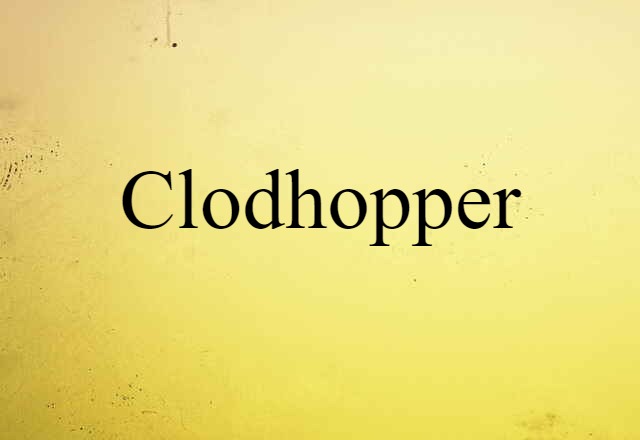 Clodhopper (noun) Definition, Meaning & Examples