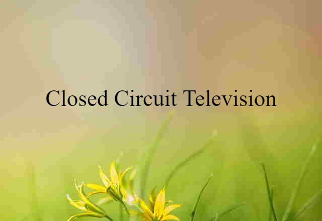 Closed-circuit Television (noun) Definition, Meaning & Examples