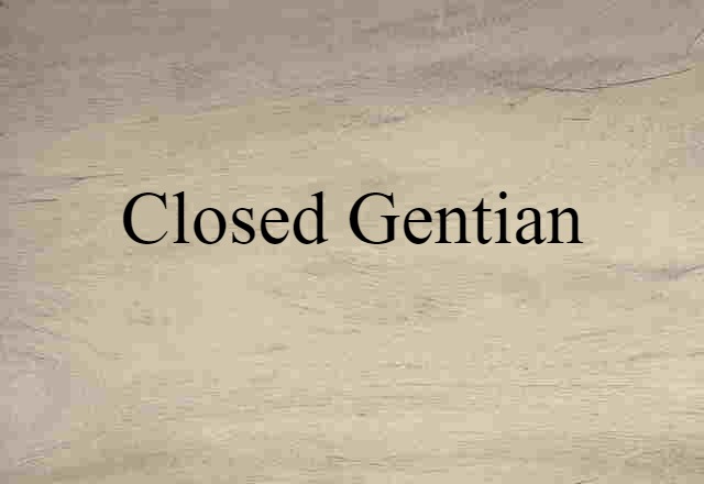 closed gentian