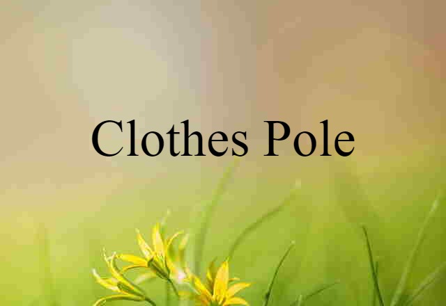 clothes pole