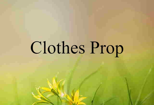 Clothes Prop (noun) Definition, Meaning & Examples