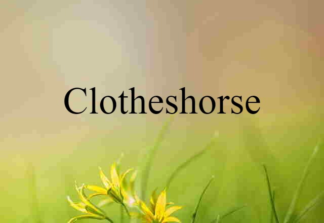 clotheshorse