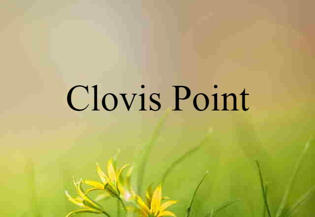 clovis point