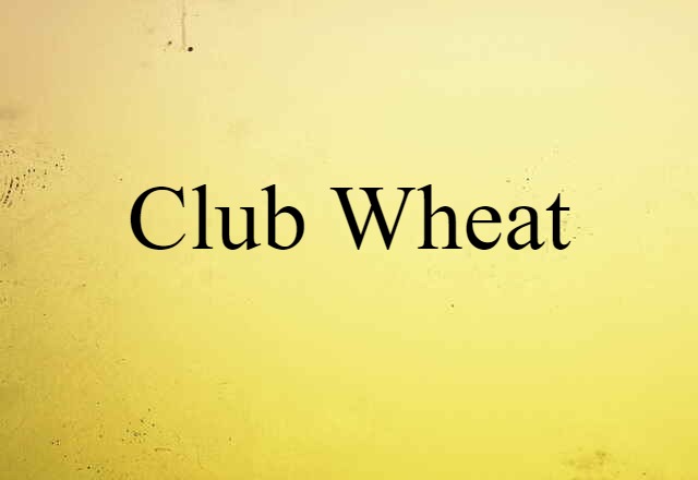 Club Wheat (noun) Definition, Meaning & Examples