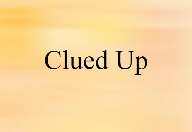 Clued Up (noun) Definition, Meaning & Examples