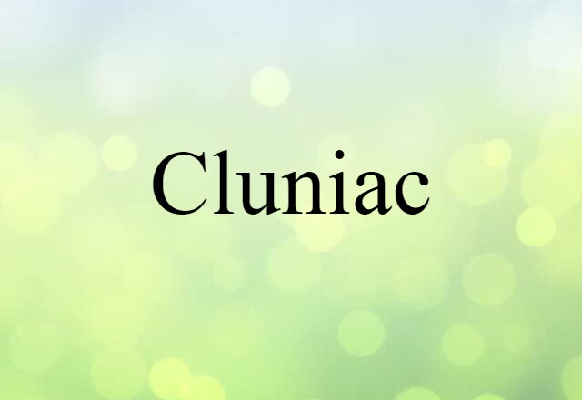 Cluniac (noun) Definition, Meaning & Examples