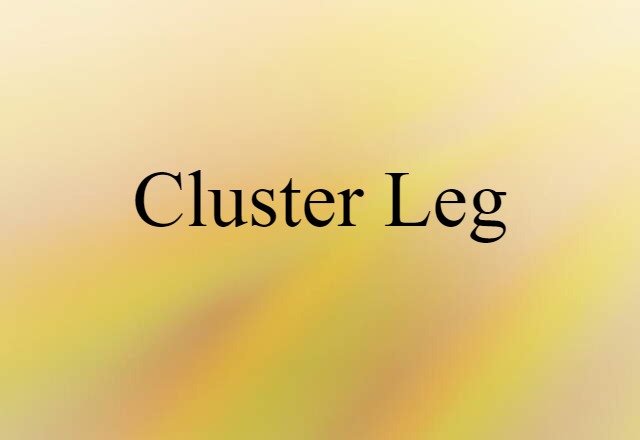 Cluster Leg (noun) Definition, Meaning & Examples