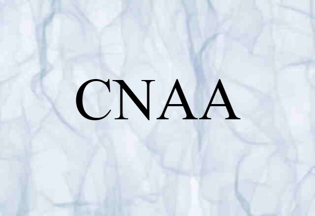 CNAA (noun) Definition, Meaning & Examples