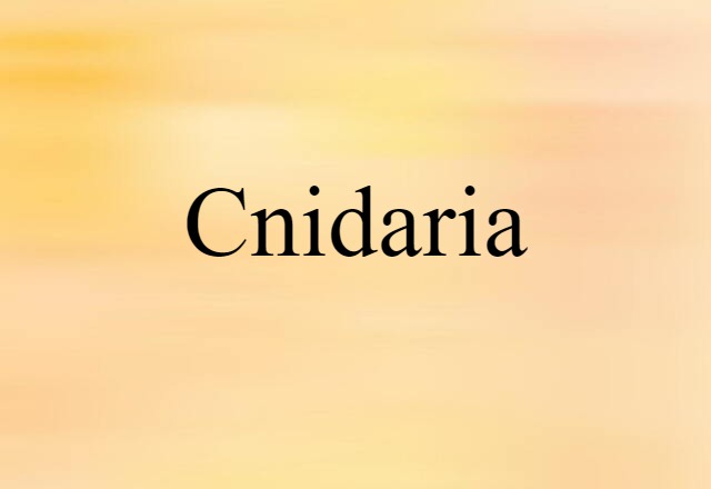 Cnidaria