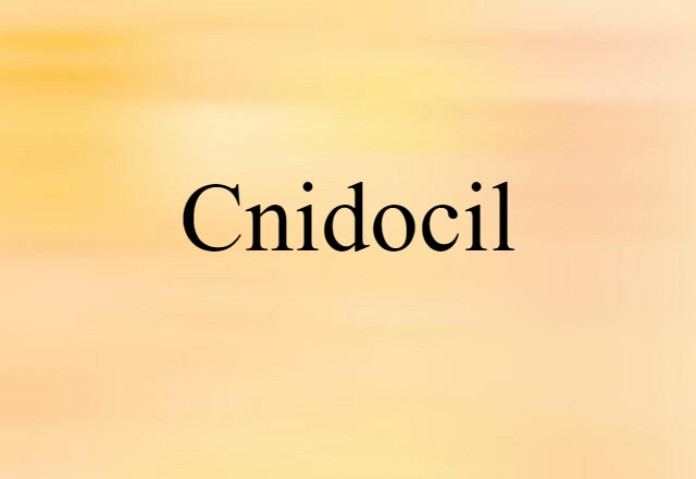 Cnidocil (noun) Definition, Meaning & Examples