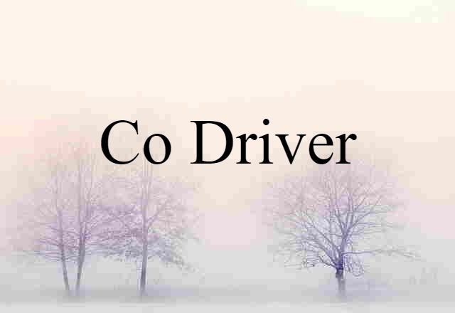 co driver