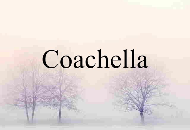 Coachella (noun) Definition, Meaning & Examples