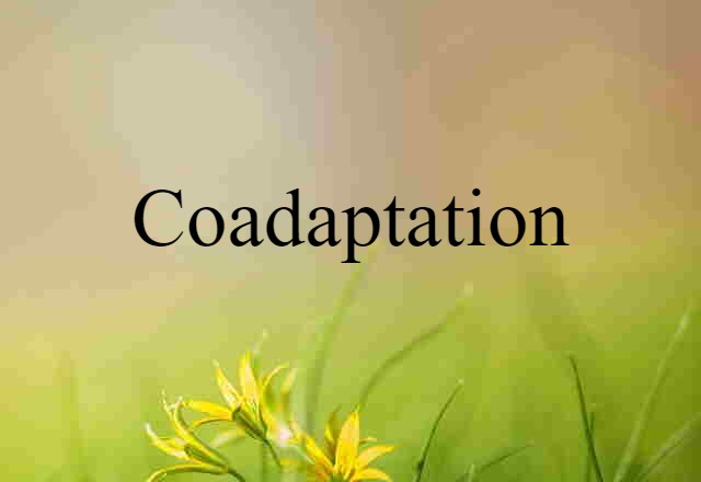 coadaptation