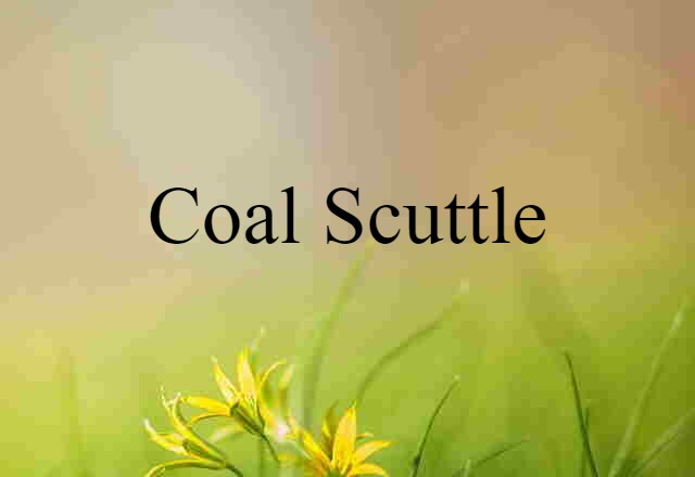 Coal Scuttle (noun) Definition, Meaning & Examples