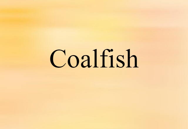 coalfish