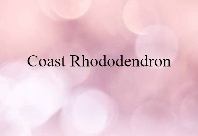 coast rhododendron