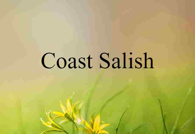 Coast Salish (noun) Definition, Meaning & Examples