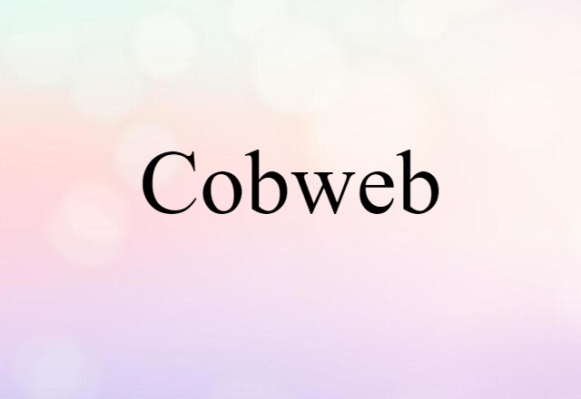 Cobweb (noun) Definition, Meaning & Examples