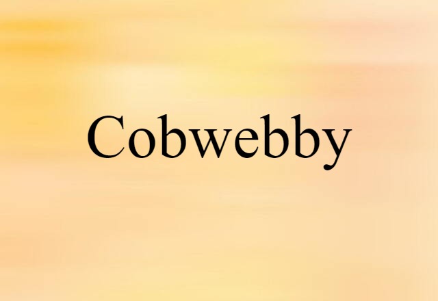 Cobwebby (noun) Definition, Meaning & Examples