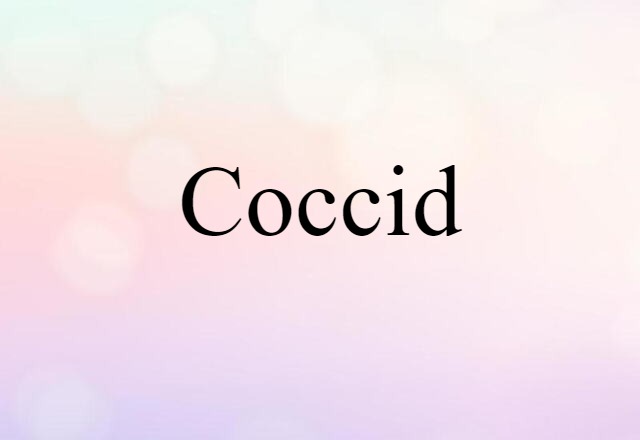 coccid