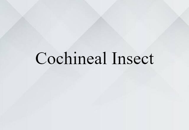 Cochineal Insect (noun) Definition, Meaning & Examples