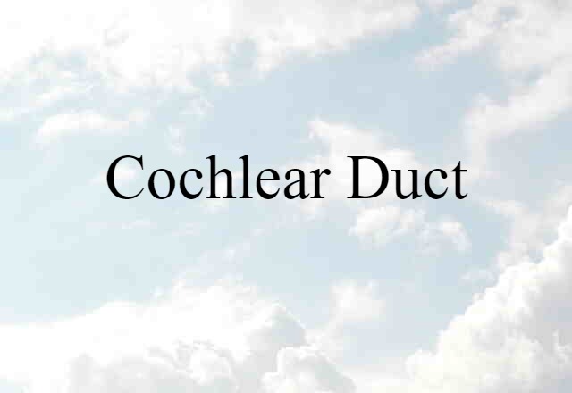 cochlear duct