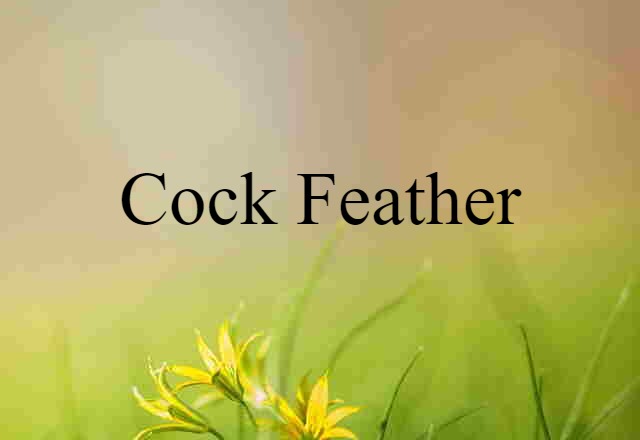 cock feather