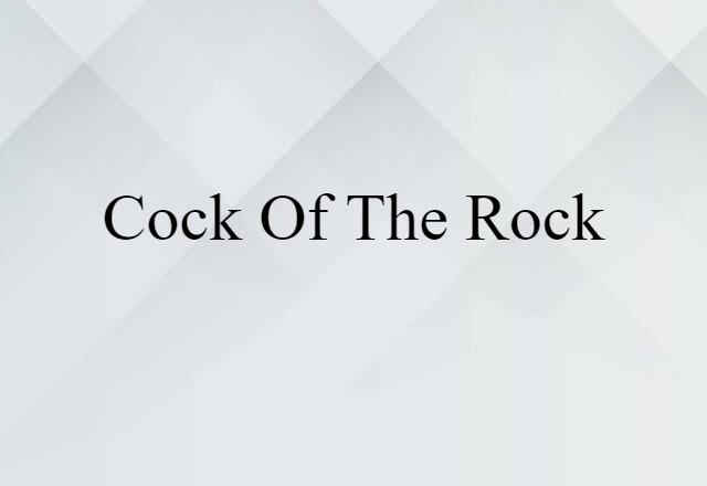 cock of the rock