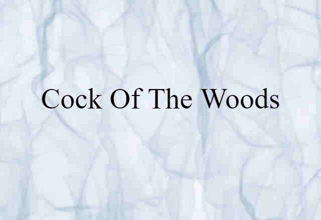 cock of the woods