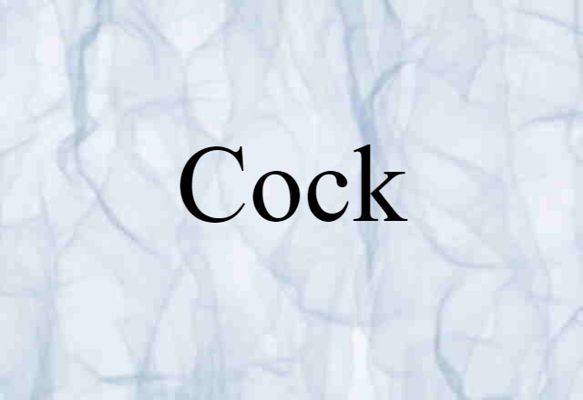 cock