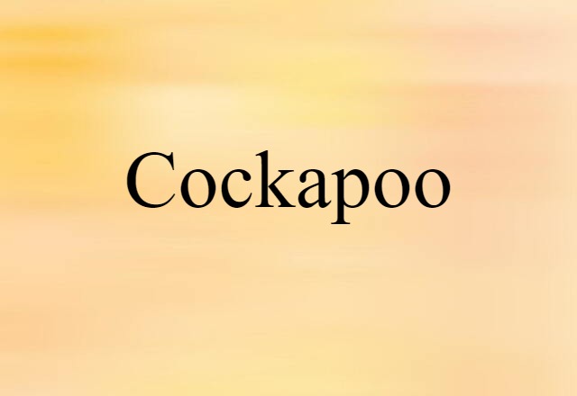 Cockapoo (noun) Definition, Meaning & Examples