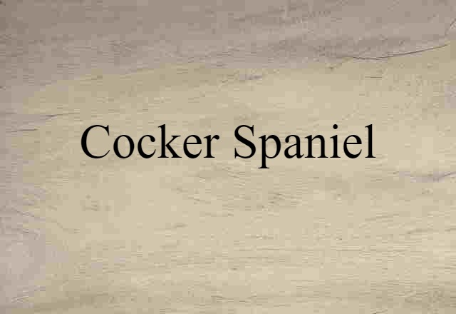 Cocker Spaniel (noun) Definition, Meaning & Examples