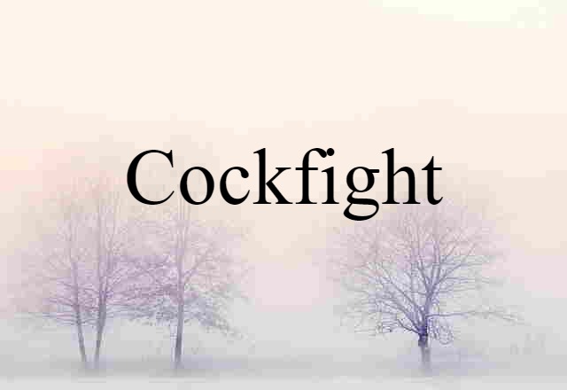 cockfight