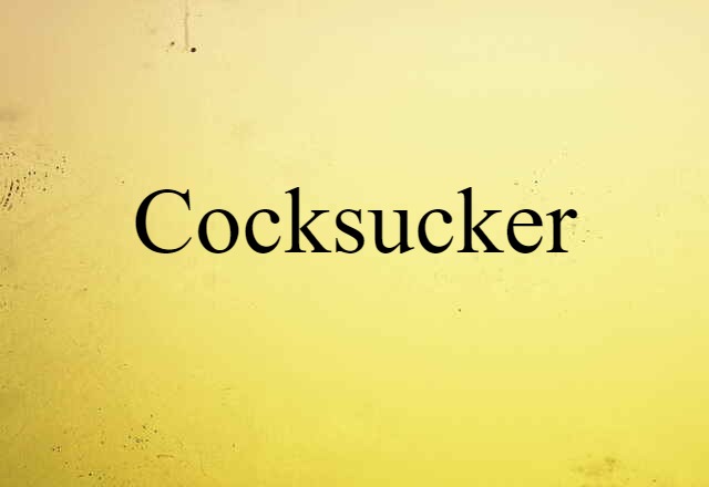 Cocksucker (noun) Definition, Meaning & Examples