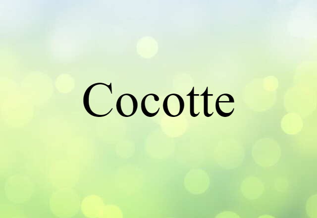 cocotte