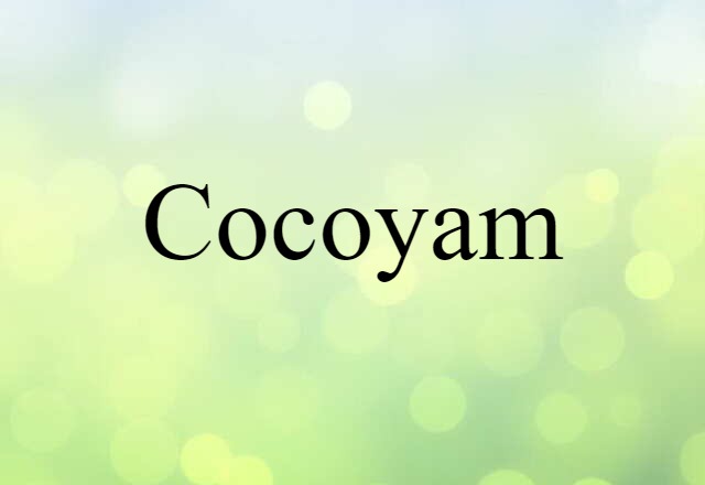 Cocoyam (noun) Definition, Meaning & Examples