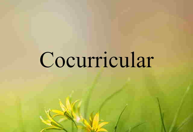 cocurricular