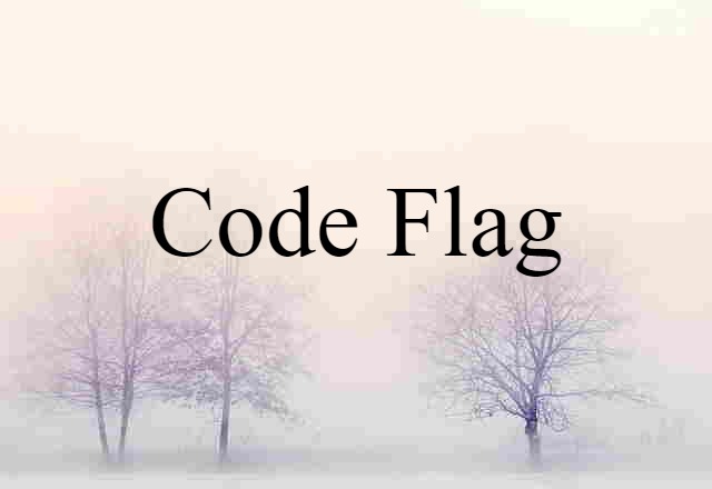 Code Flag (noun) Definition, Meaning & Examples