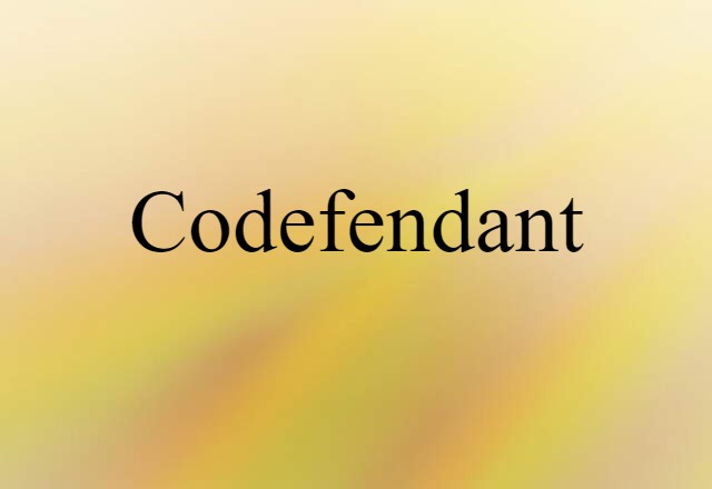 Codefendant (noun) Definition, Meaning & Examples