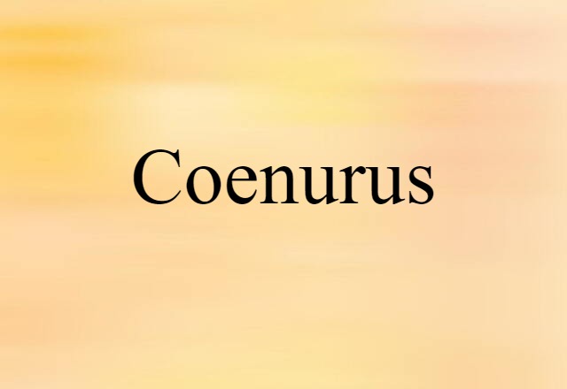 Coenurus (noun) Definition, Meaning & Examples