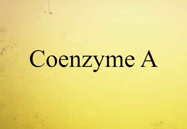 Coenzyme A (noun) Definition, Meaning & Examples